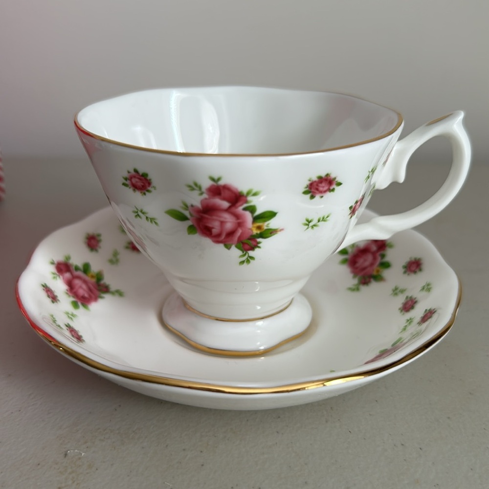 Royal Albert New Country Roses Vintage inspired Teacup and Saucer Set